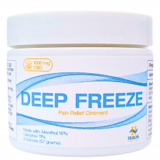 Huron Hemp - Deep Freeze Ointment 1000mg